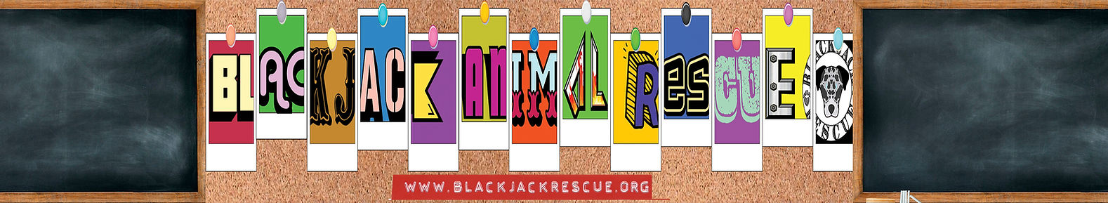 Blackjack Animal Rescue