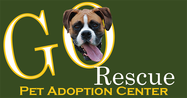 Go Rescue Pet Adoption Center