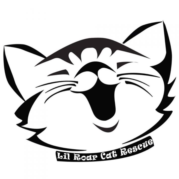 Lil Roar Cat Rescue