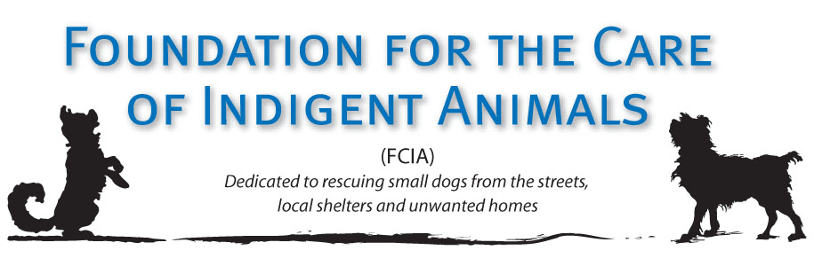 Foundation For The Care Of Indigent Animals