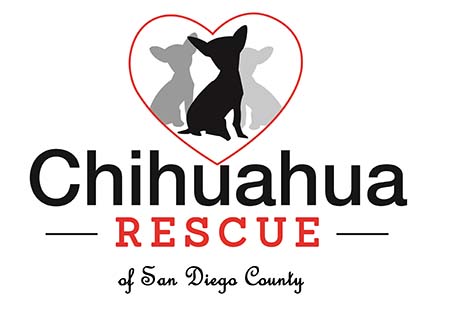 Chihuahua Rescue Of San Diego County