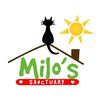 Milo's Sanctuary & Special Needs Cat Rescue, Inc.