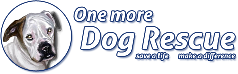 One More Dog Rescue, Inc