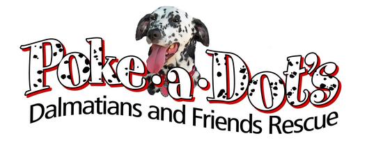 Poke-a-dot's Dalmatian's And Friends Rescue