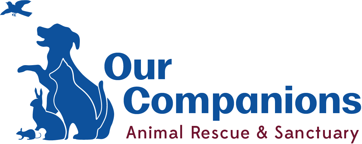 Our Companions Animal Rescue - Ashford Sanctuary