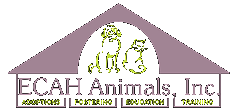 Ecah Animals, Inc.