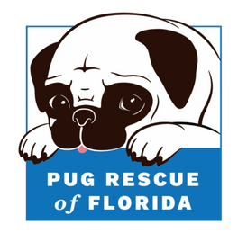 Pug Rescue Of Florida, Inc.