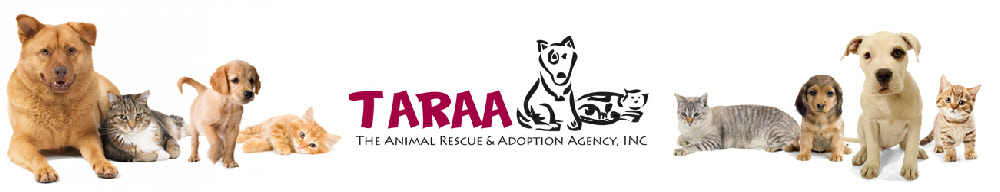 The Animal Rescue & Adoption Agency (taraa)