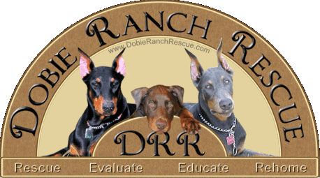Dobie Ranch Rescue