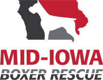 Mid Iowa Boxer Rescue