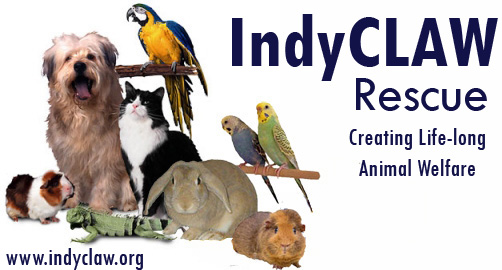 Indyclaw Rescue