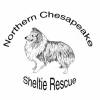 Northern Chesapeake Sheltie Rescue Inc.