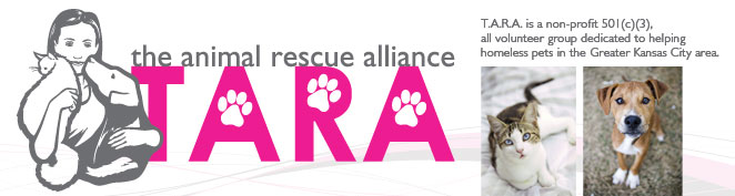 The Animal Rescue Alliance