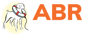 American Brittany Rescue-mo