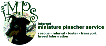 Internet Miniature Pinscher Service, Inc. (imps) - Carolinas