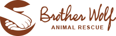 Brother Wolf Animal Rescue