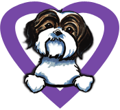 Save A Shelter Shih Tzu (s.a.s.s.) Rescue