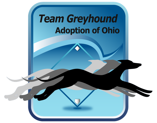 Team Greyhound Adoption Of Ohio, Inc.