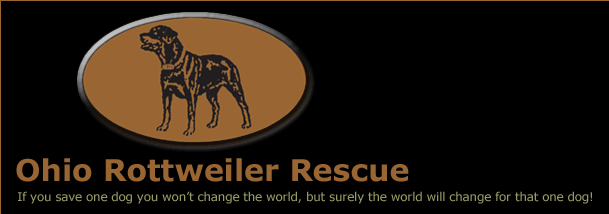 Ohio Rottweiler Rescue