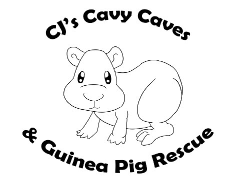Cj's Cavy Caves And Guinea Pig Rescue