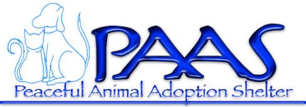 Peaceful Animal Adoption Shelter