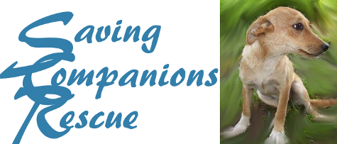 Saving Companions Rescue - Pa Chapter