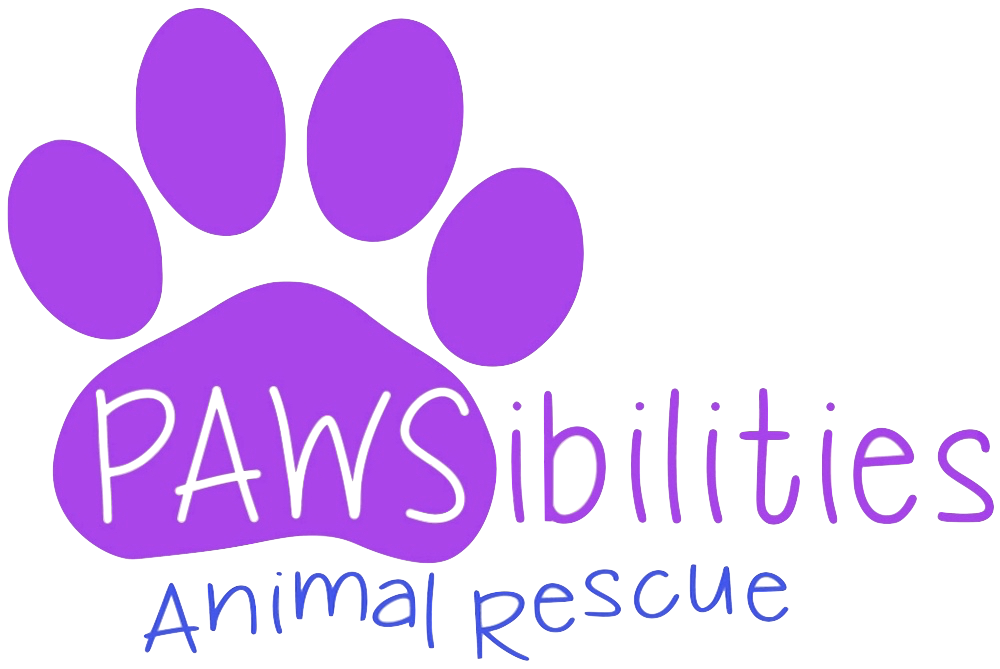 Pawsibilities Animal Rescue