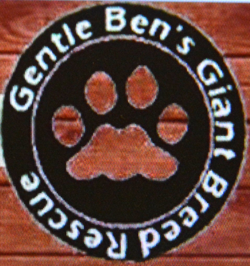 Gentle Ben's Giant Breed Rescue