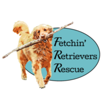 Fetchin' Retrievers Rescue
