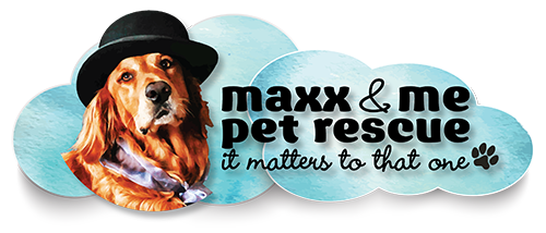 Maxx And Me Pet Rescue