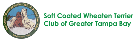 Soft Coated Wheaten Terrier Club Of Greater Tampa Bay - Rescue