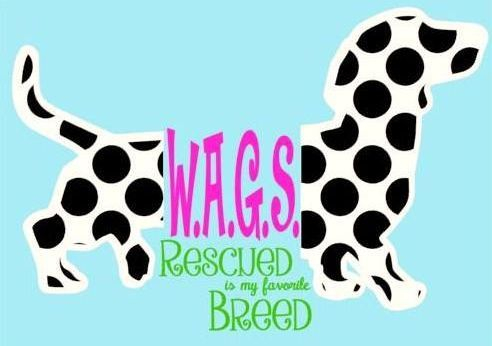 Wags Rescue