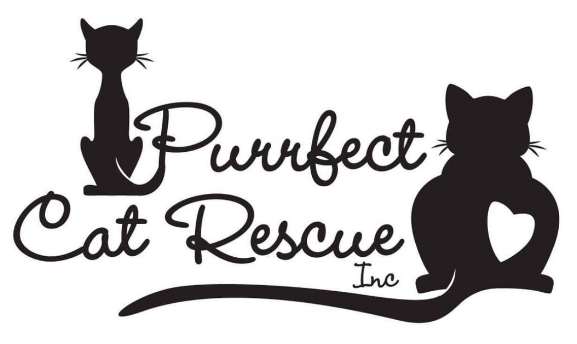 Purrfect Cat Rescue
