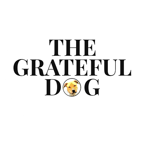 The Grateful Dog Animal Rescue