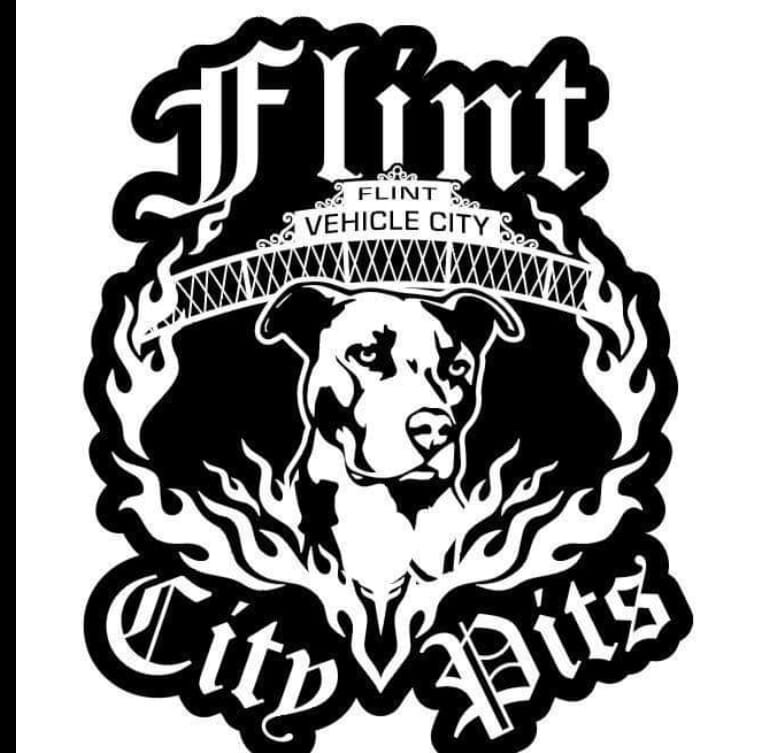 Flint City Pits