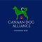 Canaan Dog Alliance
