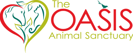 The Oasis Animal Sanctuary Inc.