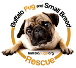 Buffalo Pug & Small Breed Rescue Inc.