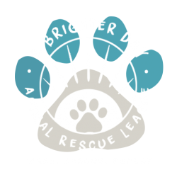 A Brighter Day Animal Rescue League
