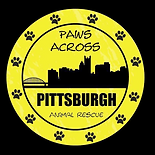 Paws Across Pittsburgh