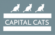 Capital Cats