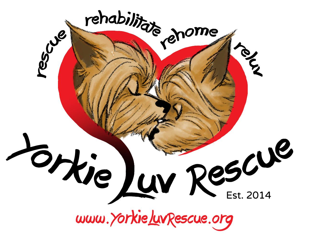 Yorkie Luv Rescue
