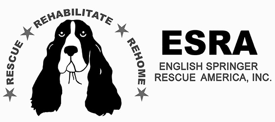 English Springer Rescue America Inc.
