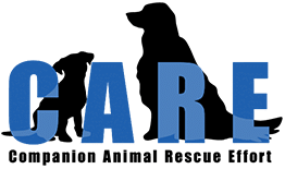Care Companion Animal Rescue Effort