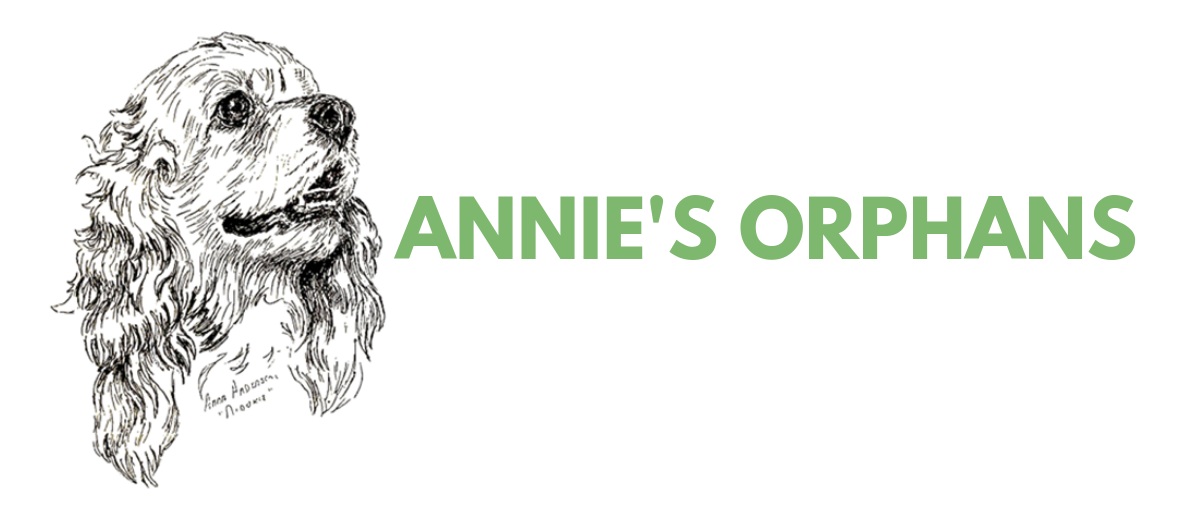Annie's Orphans