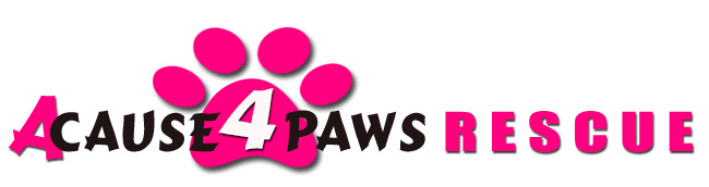 A Cause 4 Paws Rescue