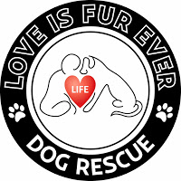 Love Is Fur Ever Dog Rescue