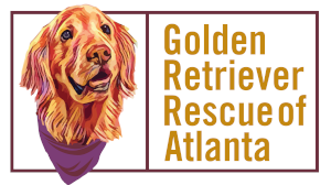 Golden Retriever Rescue Of Atlanta