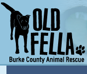 Old Fella Burke County Animal Rescue