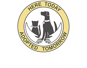 Here Today Adopted Tomorrow Animal Sanctuary